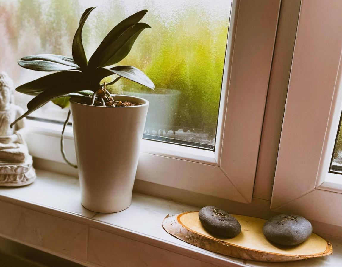 Modernes Appartement Im Gruenen - Stilvoll Und Komfortabel Cologne Luaran gambar
